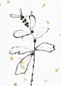 Minimalistische Botanische Skizze von Santhosh ch