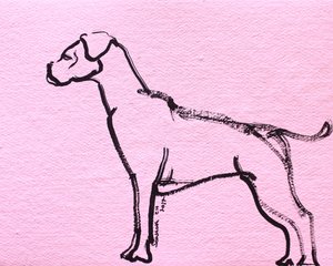 Rosa Boxer Linienkunst