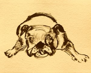 Verspielte Bulldogge Skizze von Santhosh ch