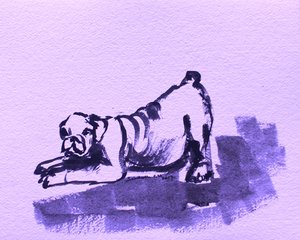 Verspielte Bulldogge Dehnung