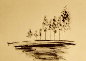 Gelassene Baumreflexion