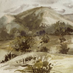 Ruhige Landhügel