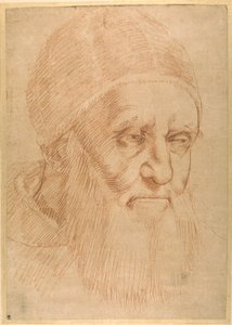 Papst Julius II., nach einem Karton von Raphael von Sanzio of Urbino (follower of) Raphael