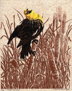 Rohrkolben-Kantate, 2017
