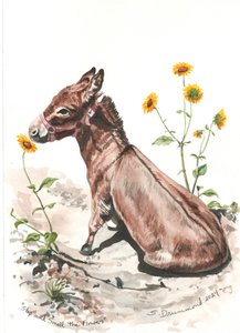 Stop and Smell the Flowers, 2024