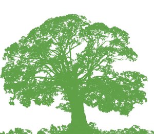 Kletterbaum, 2009