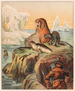 Ein Eskimo jagt Robben und ein Walross, aus P.T. Barnum