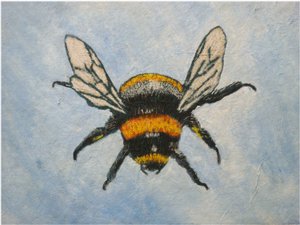 Hummel, 2015