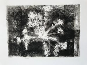 Samenkopf II