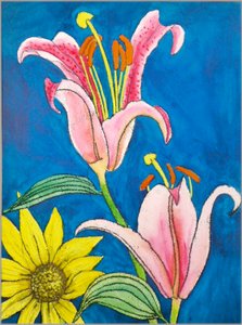 Sterngucker von Sarah Thompson Engels