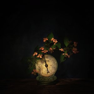 Dunkles Blumenwaagenstillleben von Saskia Dingemans