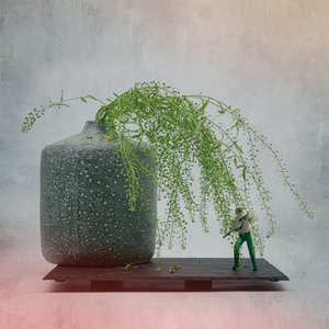 Miniatur-Soldatenpflanze von Saskia Dingemans