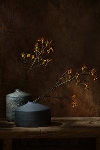 Stimmungsvolle botanische Vasen