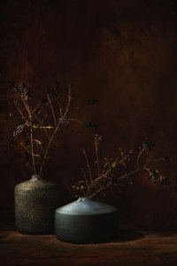 Stimmungsvolle botanische Vasen