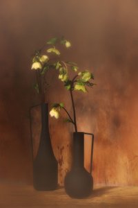 Ruhige Blumeneleganz von Saskia Dingemans