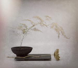Serene getrocknete Botanik von Saskia Dingemans