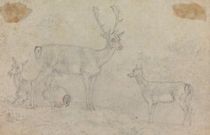 Ein Hirsch und zwei Rehe von Sawrey Gilpin