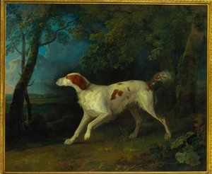 Ein braun-weißer Setter in einer bewaldeten Landschaft von Sawrey Gilpin