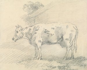 Kuh von Sawrey Gilpin