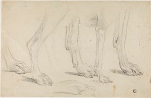 Hundepfoten von Sawrey Gilpin