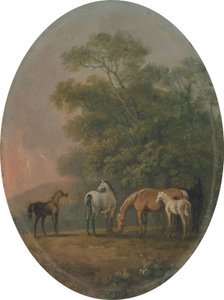 Stuten und Fohlen, ca. 1770-80
