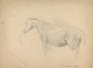 Skizze eines Pferdes von Sawrey Gilpin