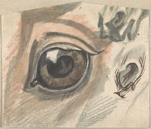 Studien von Gesichtszügen eines Pferdes von Sawrey Gilpin