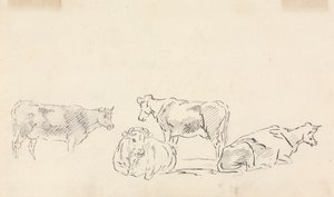 Studie von Rindern von Sawrey Gilpin