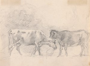 Zwei Kühe beim Grasen von Sawrey Gilpin