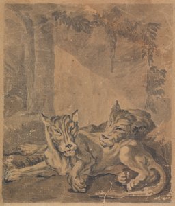 Zwei Tiger