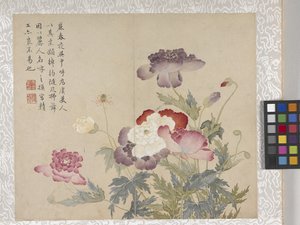 8-Blatt-Album von Blumen, Mitte 1700er