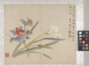 8-Blatt-Album der Blumen, Mitte 1700er Jahre