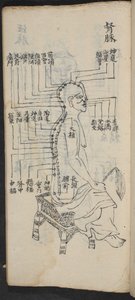 Akupunkturpunkte entlang der Wirbelsäule und des Kopfes, aus Jing Guan Qi Zhi, 