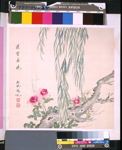 Album von Blumen und Vögeln, Datum unbekannt (Tinte und Farbe auf Seide) von School Chinese