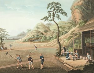 Teeproduktion, ca. 1820