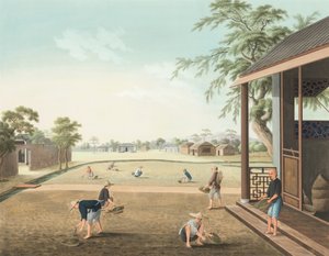 Teeproduktion, ca. 1820 von School Chinese