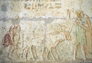 Altes Ägypten, Wandrelief, Grab von Petosiris, Tuna el-Gebel, 300 v. Chr., Pflügen und Säen von Feldfrüchten von School Egyptian