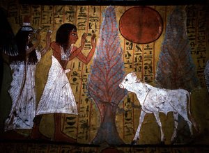 Luxor - Theben: Linkes Ufer des Nils. Website von DEIR EL MEDINEH: Dorf und Nekropole der Handwerker. Detail eines Wandgemäldes eines Grabes, das das Kalb zeigt, noch dünn und mit fragilen Beinen, verkörpert den zukünftigen Apis. 19. Dynastie.