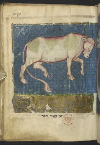 Ein Stier, aus einer Sammlung biblischer und anderer Texte (