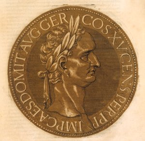 Der Kaiser Domitian