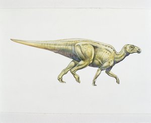 Hadrosaurier oder Entenschnabeldinosaurier (Farblithografie) von School Italian
