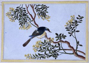 Vogel - Japanischer Druck