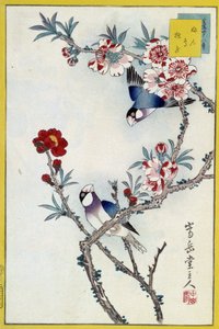 Vögel in einem blühenden Baum - Japanischer Druck