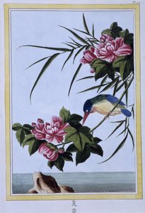 Eisvogel - Japanischer Druck