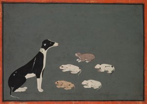 Hund mit Welpen, ca. 1780 von School Mughal