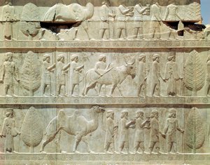 Detail des Relief-Frieses auf der Osttreppe zur Apadana (Audienzhalle), Achaimenidenzeit, ca. 515 v. Chr. von School Persian