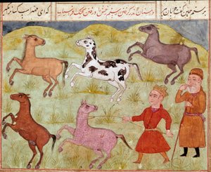 Islamische Kunst: Ein Herr und sein Bauernjunge fangen wilde Pferde mit dem Lasso. Persische Miniatur aus einem Manuskript des Epos „Shahnameh“ (Buch der Könige) von Ferdowsi (ca. 940-1020). Biblioteca Nazionale von School Persian