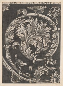 Speculum Romanae Magnificentiae: Ornamentales Laubwerk aus Kirchen von School of Raphael