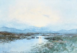 Halbporträt von Robert George Duff von Wellington Lodge, Hyde (1817-1890) von Scottish School