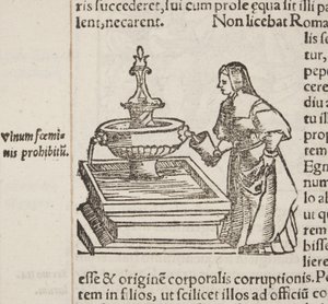 Cosmographia, Detail von Fol 202 von Sebastian Munster